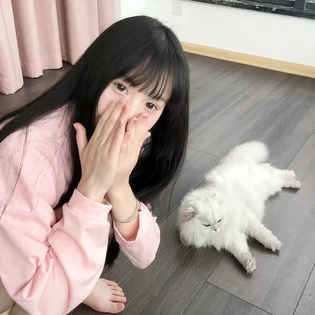 泡影昙花